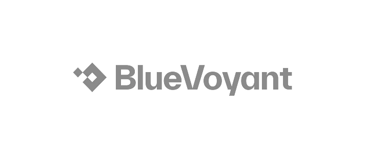 BlueVoyant